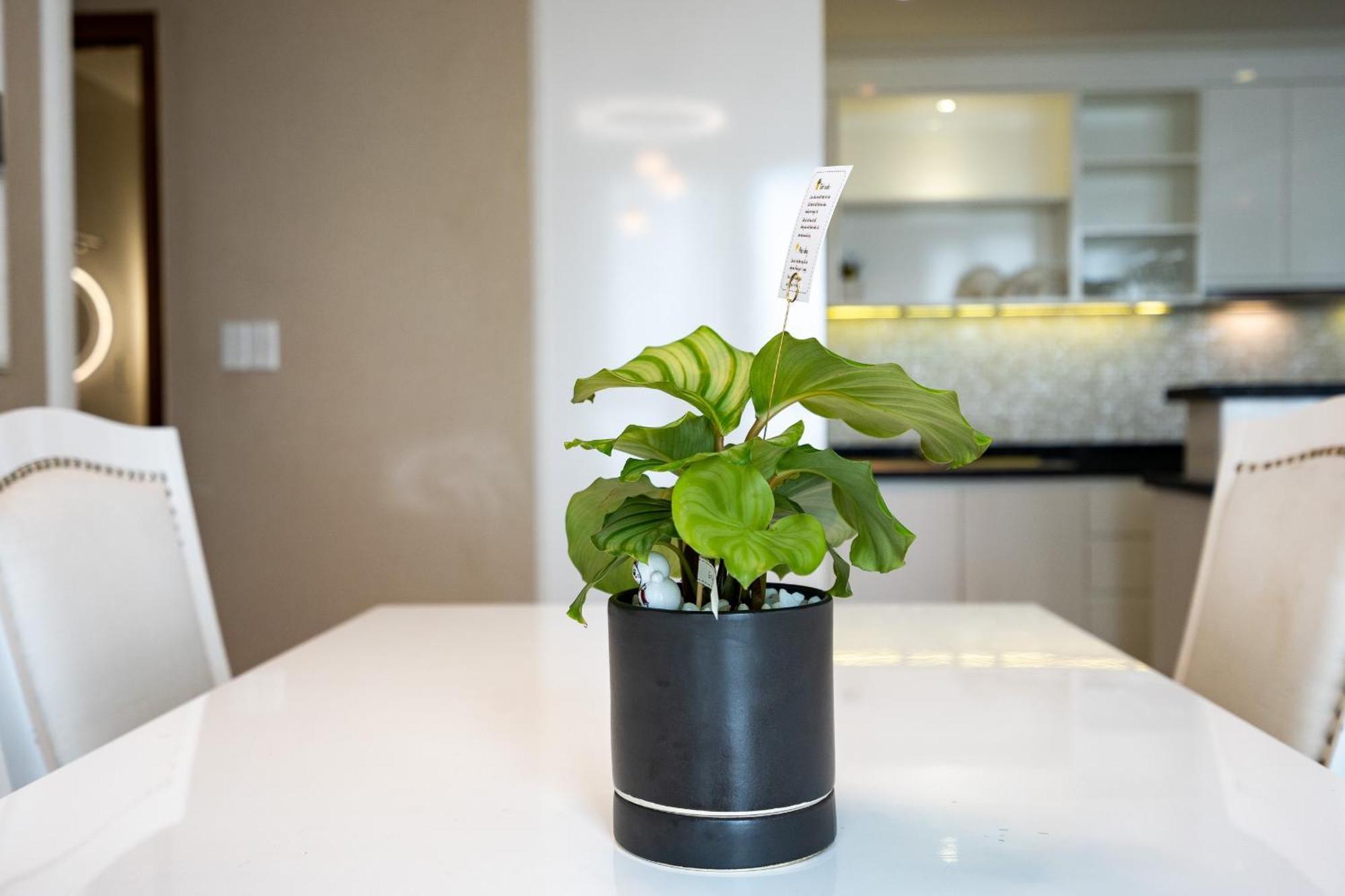 הו צ'י מין סיטי Leman Luxury Apartment By M Suites מראה חיצוני תמונה